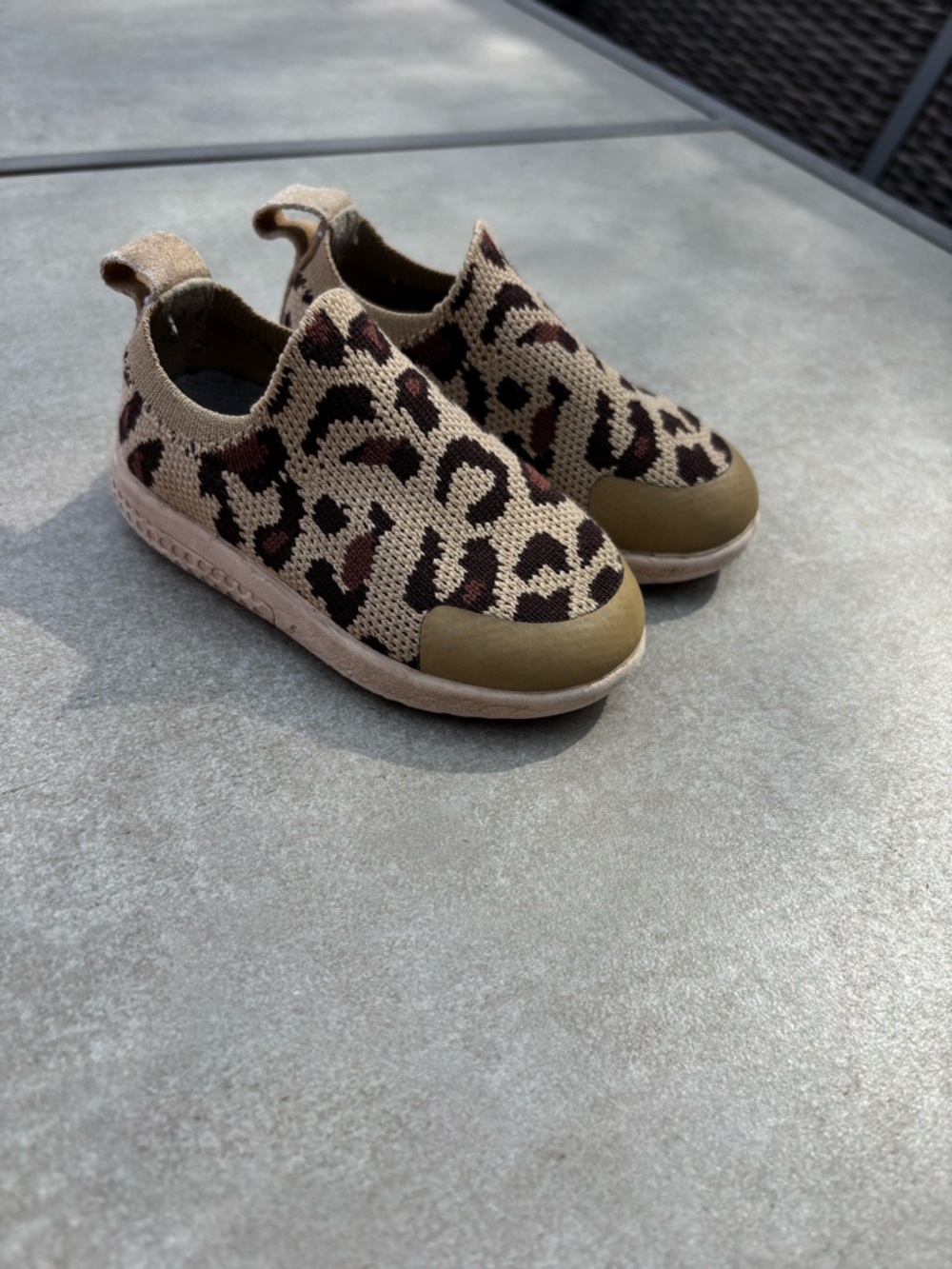 Leopard hey folks C5